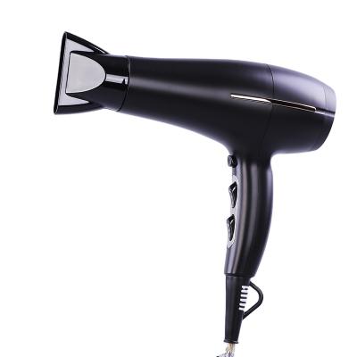 China Various Ionic Promotional Goods Using Household Salon Electric Hair Dryer Professional 2021 2000W for sale