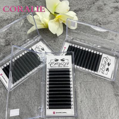 China Russian Wholesale Lash Supplies Clover 4D Clover Eyelash Extension 4D Group Extension Group Extensions for sale