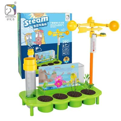 China Parent-kids Interactive lets build a Biological weather station with seeds hot selling educational toy for sale