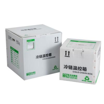 China Insulated 12 Liter Insulation thermal package Medical cooler box cold life 72~96 hours for pharmaceutical cold chain transportation for sale