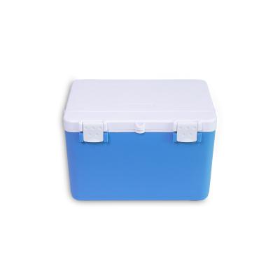 China Insulated Large Capacity Mini Cheap Cooler Box Lunch Box Food Delivery Insulated Lunch Bag Large Cooler for sale