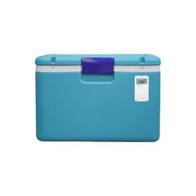 China Insulated New Type Medicine Blue Plastic Blood Transport Eco Cooler Box for sale