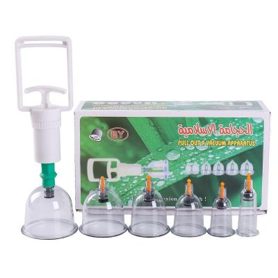 China Body 6 pcs Cupping Vacuum Device Therapy Machine With Cupping Pump Box Vacuum Cupping Therapy Machine 6 pcs for sale