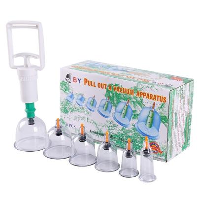 China Body Cupping Vacuum  Device Therapy Machine 6 pcs Cupping Pump And Magnetic pin 6 cans Vacuum Cupping Therapy Machine for sale