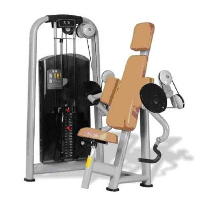 China Triumph Universal Multifunctional Indoor Home Gym Fitness Equipment Machine Commercial Power Tower Biceps Curl Machine for sale