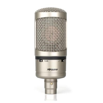 China 797Audio Mobile Live Podcast Streaming Microphone Metal Wired Professional Condenser Microphone 48V DC Singing Mic CN;BEI for sale