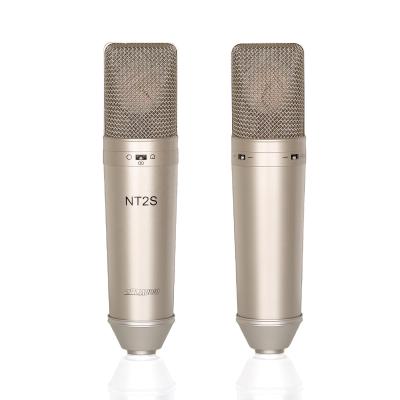 China 797Audio ACR01 Vocal Microphone Professional Studio Microphone Professional Audio Podcast Professional Microphone Live Singing for sale