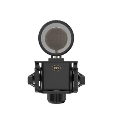 China Professional 1.1inch Large Diaphragm Condenser Microphone with XLR Digital Output for sale