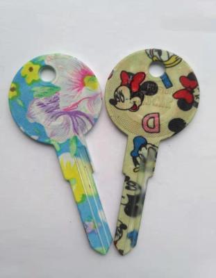 China Mute Key Painte With Color Pictures Low Price Promotional Key Blank With Painted Pictures Good Quality For Home Door for sale