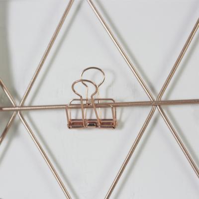 China Metal Plated Rose Gold Floating Binder Clip Picture Frame Wire Picture Frame With 6 Clips for sale