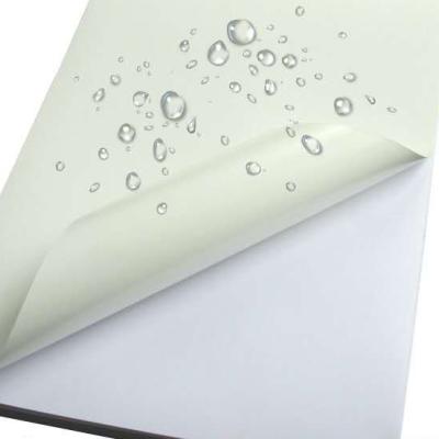 China Waterproof Tearproof Waterproof Self Adhesive Matte Vinyl PP Synthetic Sticker Paper For Laser Printer for sale