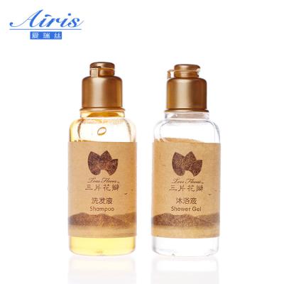 China Hotel Amenities Mini Pack Hair Softening Spa Guest Supply Amenities Package Exquisite Disposable Hotel Bathroom Shampoo for sale