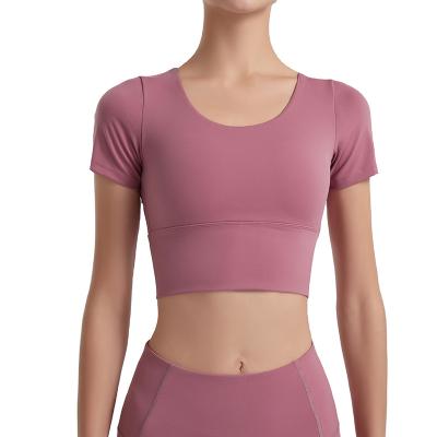 China Custom Breathable Sexy Semless Women Short Sleeves Gym Logo Gym Logo Indoor Sports Tops Yoga for sale