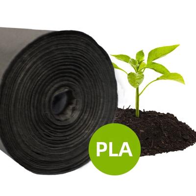 China Polylactic Acid PLA (PLA) Weed Mat Prevent Weed Growth Biodegradable Weed Barrier for sale