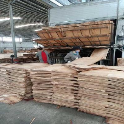 China Factory Core Veneer Dryer Machine High Quality Veneer Drying Machine For Plywood Making for sale