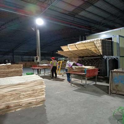 China Factory Vertical Core Veneer Dryer For Plywood Production Line At Low Drying Cost for sale