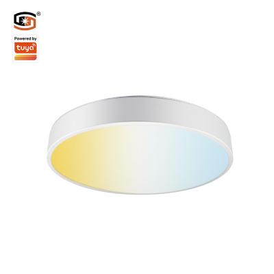 China Modern Led Smart Panel Light 600mm 48W Sigemsh Intelligent Smart Ceiling Light APP Control CCT+Dimming for sale