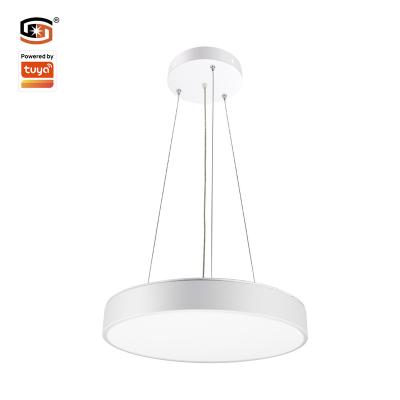 China 2022 Modern New Led Smart Panel Light 36W Zigbee Suspend Ceiling Light CCT Dimmable Switch for sale