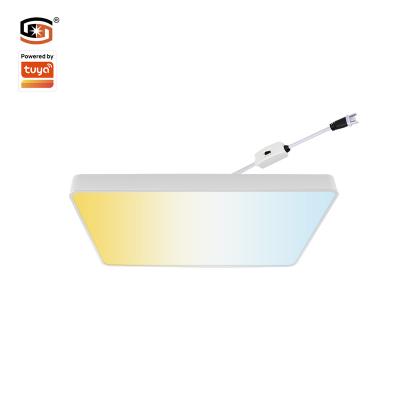 China Modern Led Smart Alexa Google Dimmable Ceiling Lamp Home Sigmesh 48W Square Ceiling LED Panel Lights TDC for sale