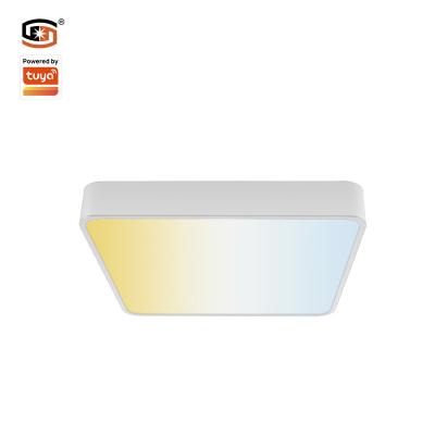 China New 2022 modern led modern led ceiling lamp 48W square2022new LED panel lights Zigbee tuya control for sale