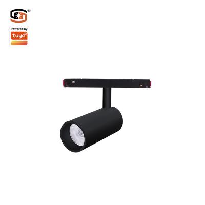 China Modern Magnetic Led Track Light COB 12W Zigbee DC48V Dimmable Led Track Magnetic Smart Home App Control for sale