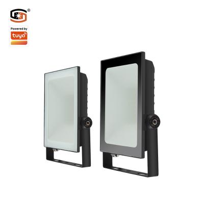 China 2022 New Outdoor Professional Led Flood Light Ip65 30W Zigbee Smart Garden Light Flood Light for sale