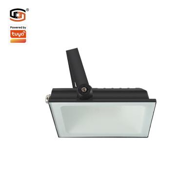 China 60W Zigbee Smart RGBcw LED IP65 Garden Flood Light Outdoor Lighting for sale