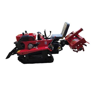 China Manufacturing Plant Diesel Power Type Rotary Tiller for Mini Power Tiller for sale