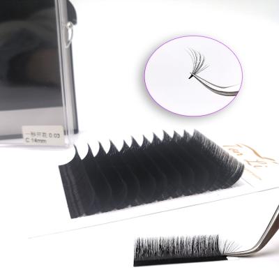 China Volume Fans Fake Easy Bulk Private Mink Volume Eyelash Logo Eyelash Fan Extensions For Extension Wholesale Easily for sale