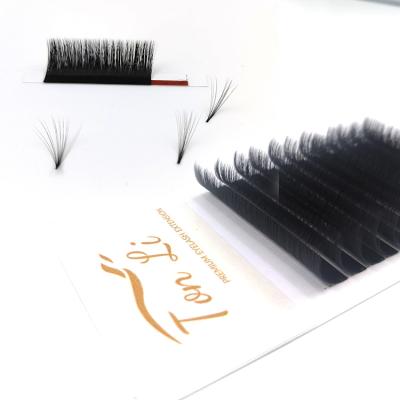 China Volume Easily Fans Hot Selling Easy Fans Eyelash Extension 00.3 Custom Volume Eyelash Extension Cases for sale