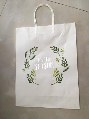 China Custom logo hot foil stamping shopping bag kraft paper bag with twisted handle for sale