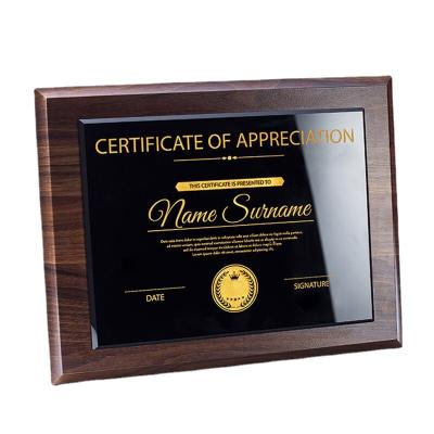 Cina Healthcare Institutes Medals Custom Company License License Crystal Wooden Business Trophy Award Plaque in vendita