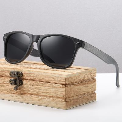 China Straw Men Polarized Sunglasses Fashion Sunglasses Sunway Eyewear Biodegradable Recycled Wheat Eco Friendly for sale