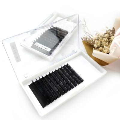 China Light& China Eyelash Suppliers Private Label Soft Packaging Lashes Classic Box Eyelash Extension for sale