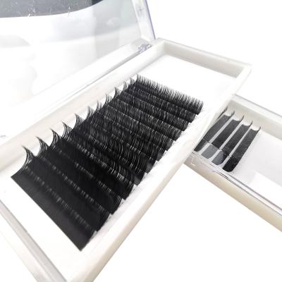 China China Suppliers Natural Soft Wholesale Private Label Silk Extension Eyelashes for sale