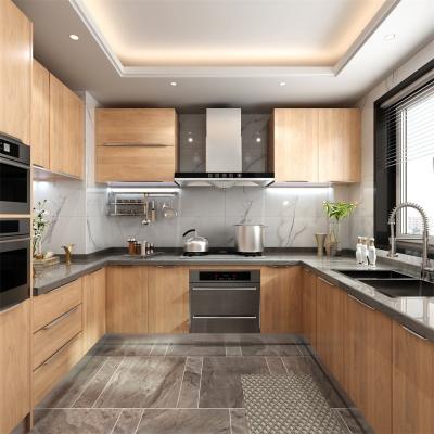 China Modernize Your Kitchen with European Style Wood Cabinets and Pull Out Pantry in 2022 for sale