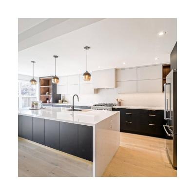 China Custom Modern Design Modular Kitchen Cabinet with Solid Wood and Lacquer Finish Doors for sale