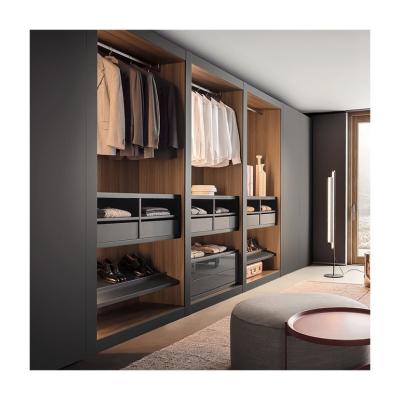 China Competitive Wood Style PANEL Wardrobe Closet Set for Apartment and Custom Design for sale