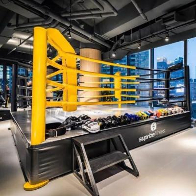 China Martial Arts Training Equipment Aji Fighting Wolon Ufc Muay Bjj Thai Arena Wrestling Ring Design Muttahida Majlis-e-Amal Cage 5x5 4x4 Floor Level Ring For Sale Outdoor Boxing for sale