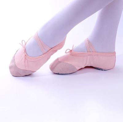 China Lightweight Women's Dance Body Yoga Soft-soled Cat Claw Dancing Training Shoes for sale