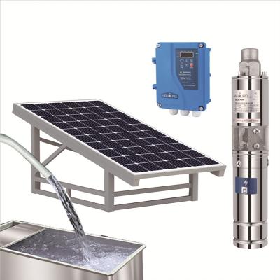 China Solar Irrigation 2m3/h 150m 48v 750w 1 Hp 3inch DC Submersible Screw Water Pump System for sale