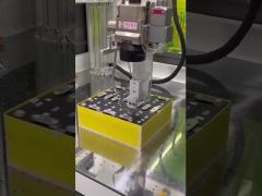 LifePO4 Battery