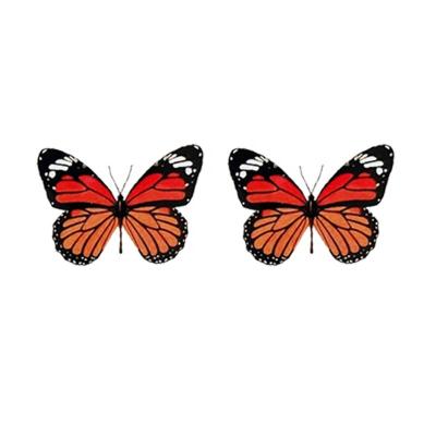 China Yingli Butterfly Heat Transfer Vinyl Stickers T-shirt Sticker Easy Custom Heat Transfer Iron On Heat Transfer Sticker for sale