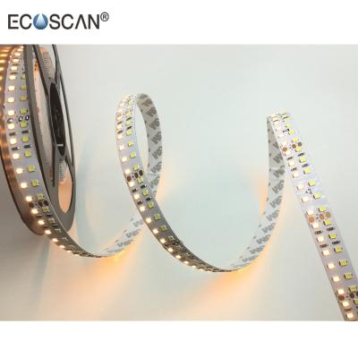 China ECOSCAN Decoration White Adjustable 240leds/m Dual Array SMD2835 24V CCT Led Strip With IP20 NanoIP66 for sale