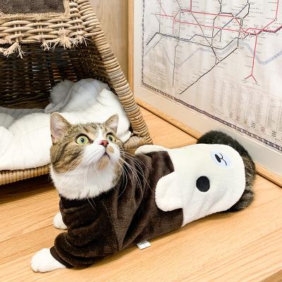 China Viable high-intensity model of 2021 the new cat clothes can be customized around the neck bear cat clothes baby kitten equipment for sale