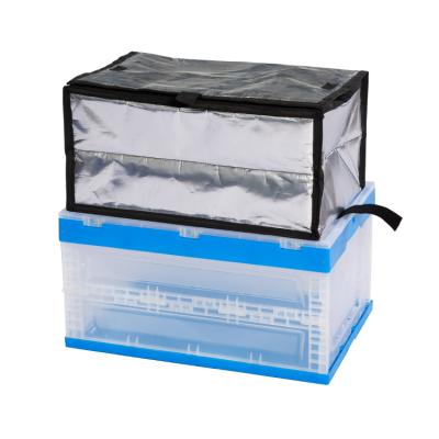 China Factory Direct Supply Cooler Box Cold Chain Easy Carry Foldable Plastic External Box for sale