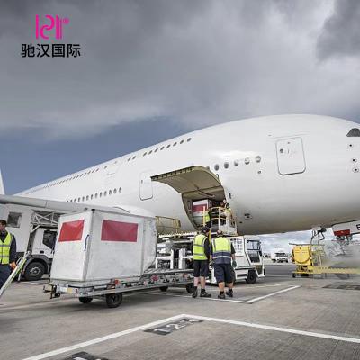 China China to Germany professional freight forwarder sea and air ddp ddp door to door service for sale