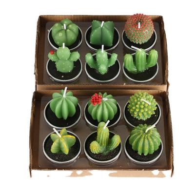 China Art Decor SYL 12pcs Set Creative Candles For Fragrance Home Accessories Cute Succulents Candles Open Scented Candle Gift Set for sale