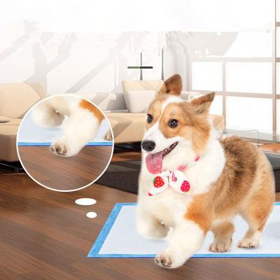 China Viable Hot Selling Handheld Dog Toy Treat Training Products In China for sale