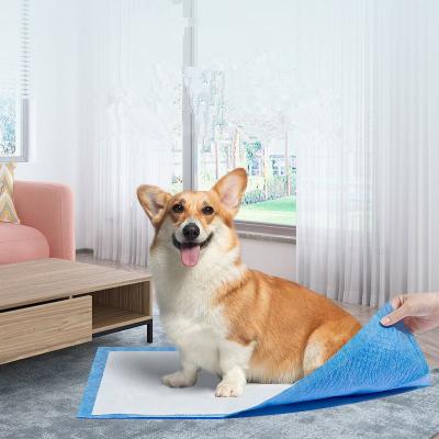 China High Quality Viable Puppy Underpad Pet Mat Diaper Dog Pee Training Pad In China for sale